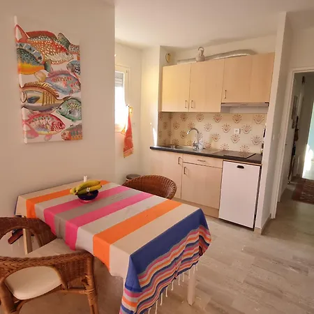 2 Pieces Avec Garage Au Centre, A 50m De La Plage, Climatise - Fr-1-780-36