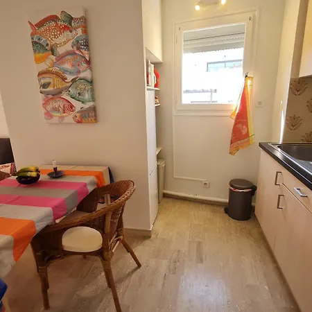 2 Pieces Avec Garage Au Centre, A 50m De La Plage, Climatise - Fr-1-780-36 Apartment Sainte-Maxime