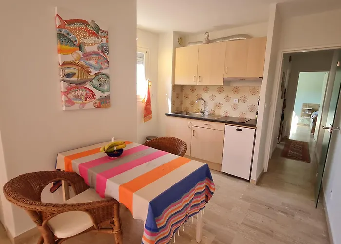 2 Pieces Avec Garage Au Centre, A 50m De La Plage, Climatise - Fr-1-780-36