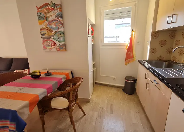 2 Pieces Avec Garage Au Centre, A 50m De La Plage, Climatise - Fr-1-780-36 アパート サント・マキシム